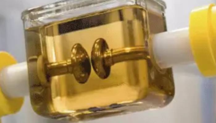 تولیدکننده برتر تستر روغن ترانسفورماتور در جهان